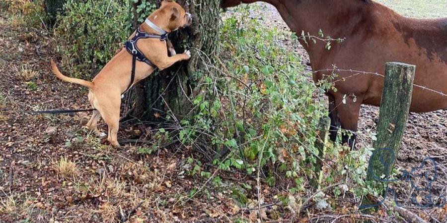 Qui joue à cache-cache ?