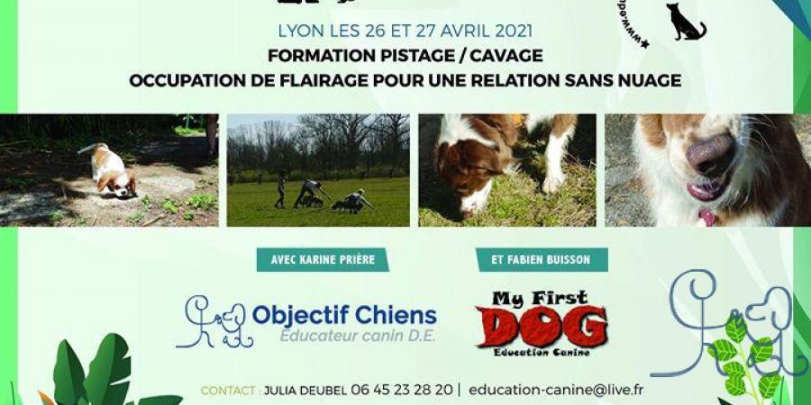 Photos de la publication de Centre Education et comportements du chien